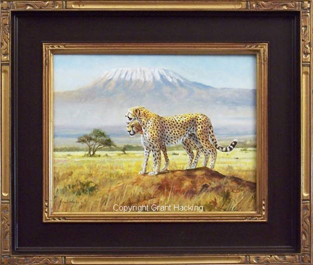 Cheetahs of Kilimanjaro